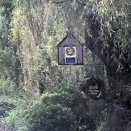 La Ferme Des Vignes